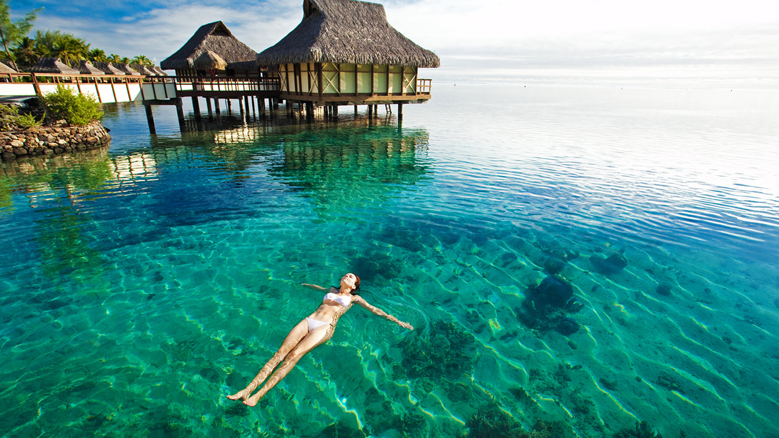 Tahiti様① TAHITI 80 | パズル 15thアニヴァーサリー・デラックス・エディション