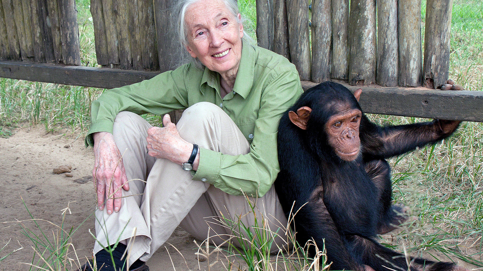 the Jane Goodall Institute