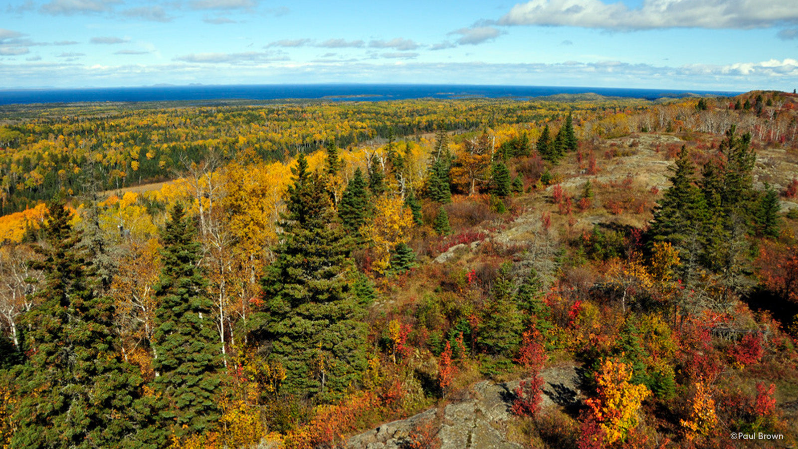 A landscape view from Ojibway Fire Tower featuring Isle Royale's fall landscape. The trees are mostly yellow, red and orange.